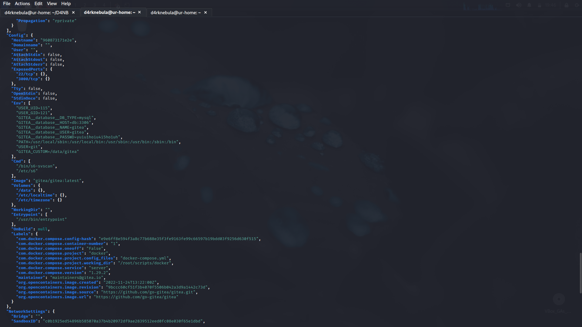 docker-inspect-creds
